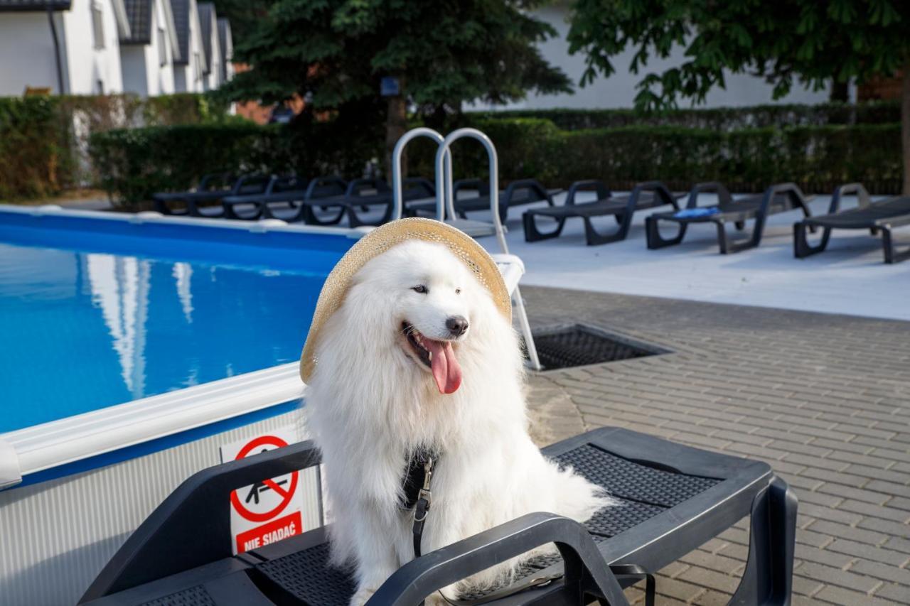 Domy Morskie Dog Friendly Jantar Exterior foto